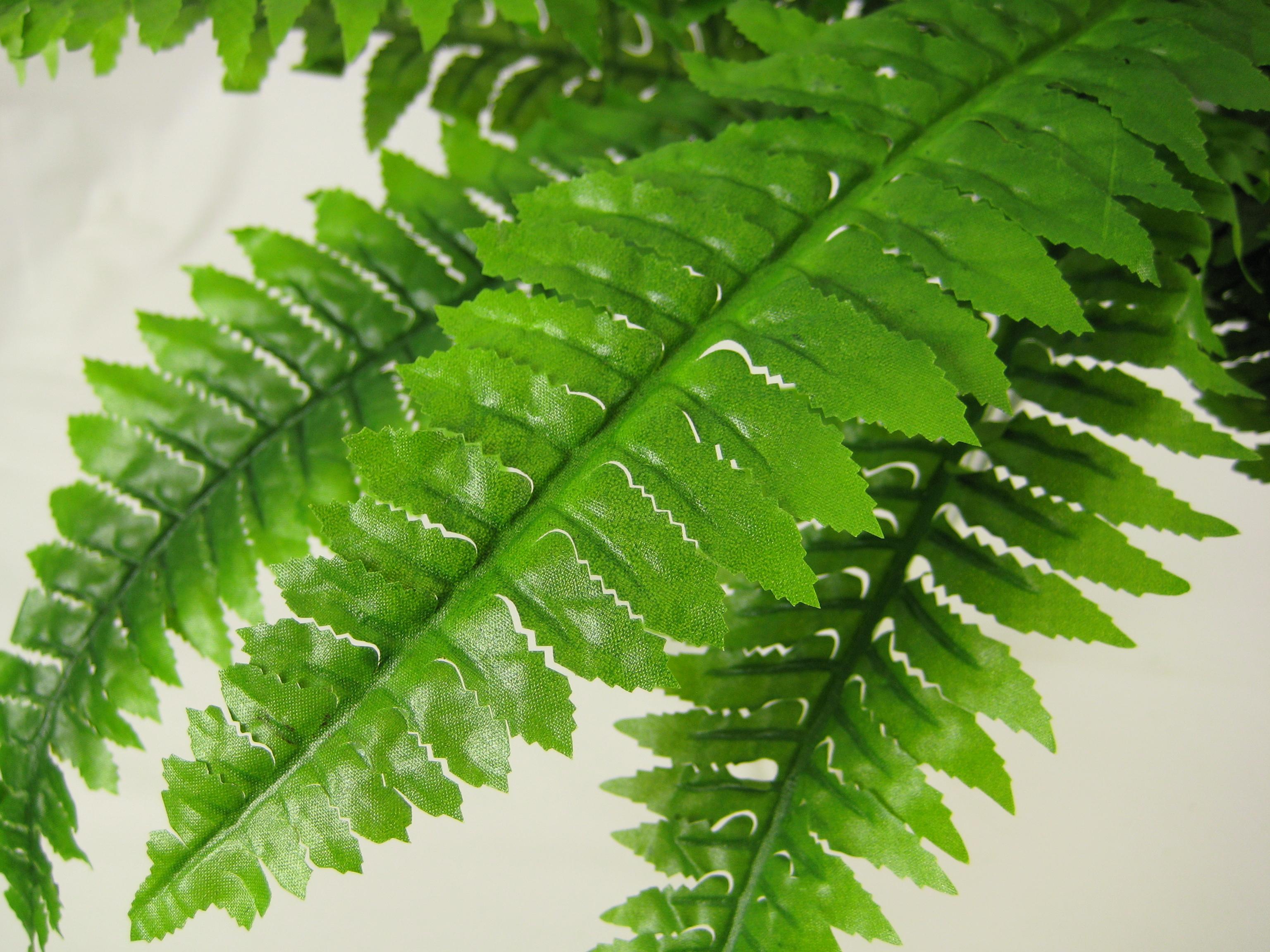 GT Decorations 74cm Artificial Silk Foliage Large Boston Fern from