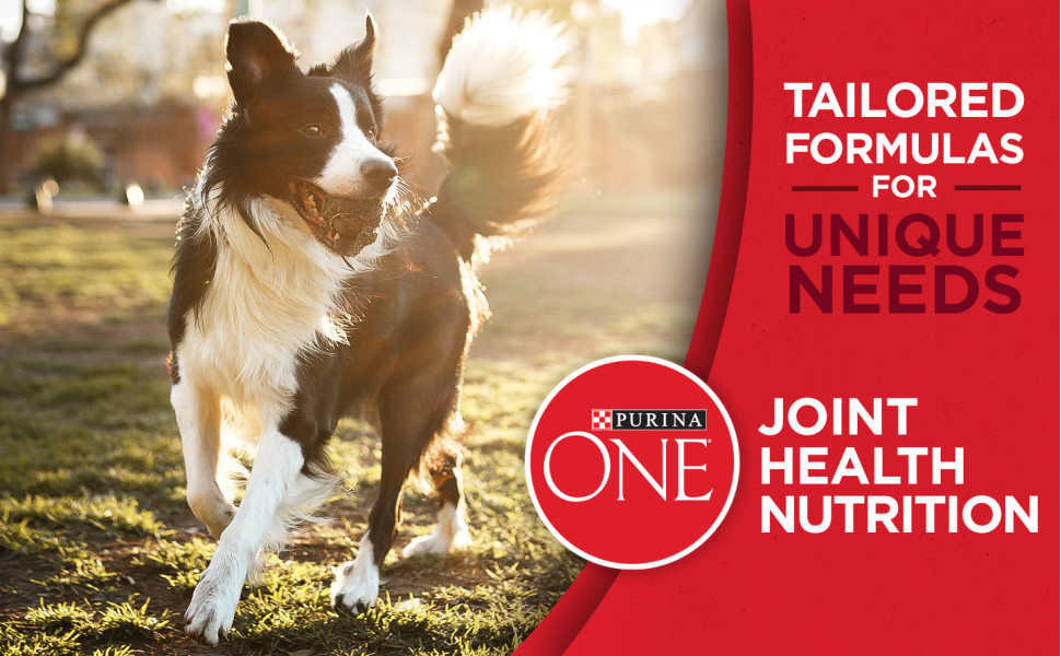 Tailored formulas for unique needs. Purina ONE dog food for joint health nutrition