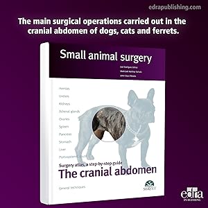 The cranial abdomen. Small animal surgery: Rodríguez Gómez