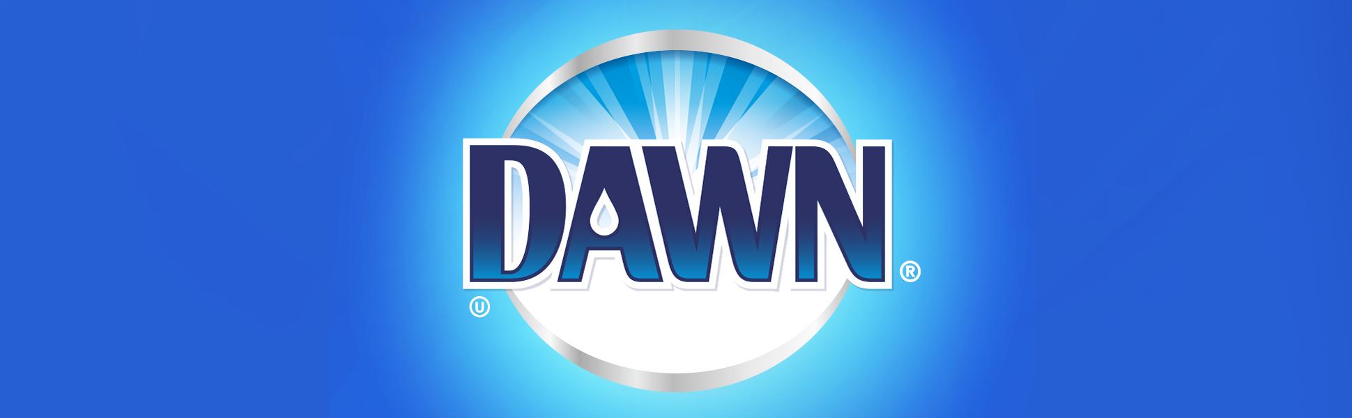 Dawn Dish Soap, Direct Foam Dishwashing Foam, Refill, Fresh