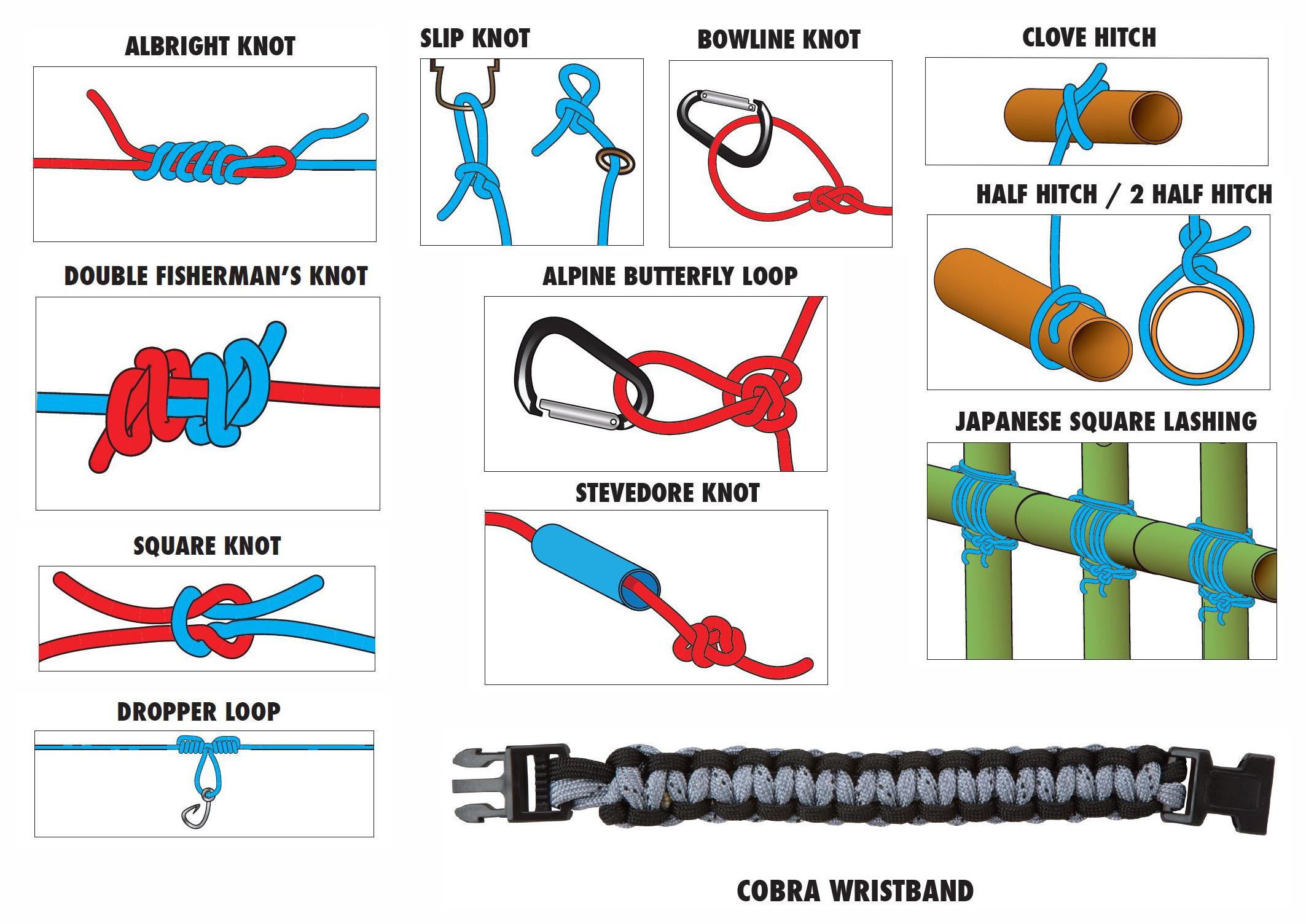 Amazon.com: Backyard Safari Survival Knots: Toys & Games