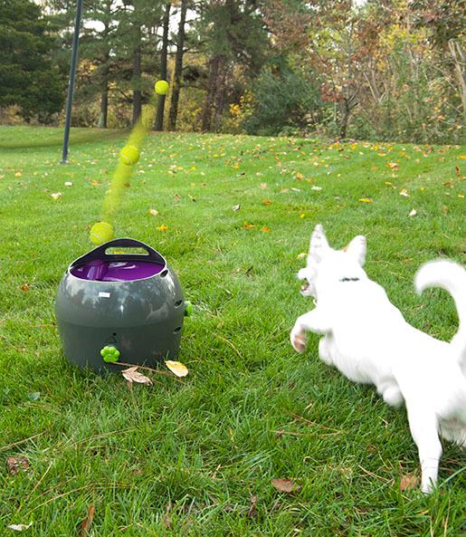 PetSafe Automatic Ball Launcher Dog Toy, Tennis Ball Throwing Machine for Dogs in