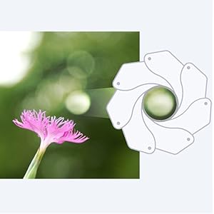 Direct Manual Focus disengages AF motor for precise, fine manual focusing control