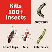 Small manufacture image 7