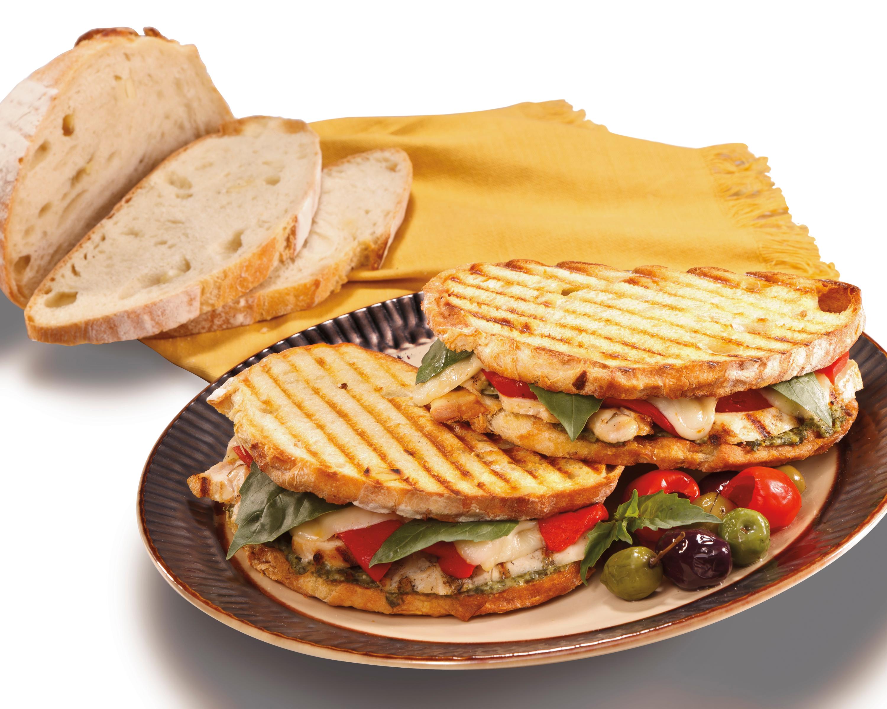 Hamilton Beach 25462Z Panini Press Gourmet Sandwich Maker Electric Sandwich Makers