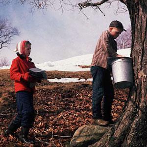 New England Vermont family farm generation steward