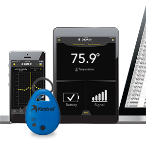 Small manufacture image 3