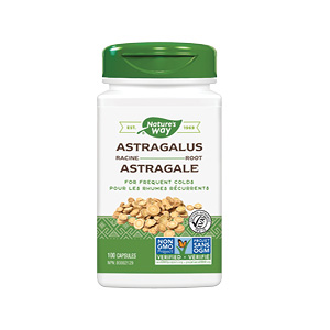 astragalus