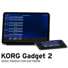 Amazon | KORG コルグ 電子ピアノ 88鍵盤 LP380 USB ローズ