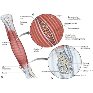 Small manufacture image 5