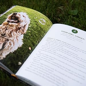 my dogs the best books about pets flash book dog devotional book flash the donkey unbridled faith