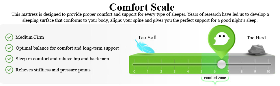 Springtek Aspire Orthopaedic Memory Hr Foam Dual Comfort 6