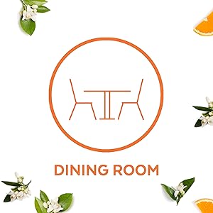 Lysol Simply all purpose cleaner