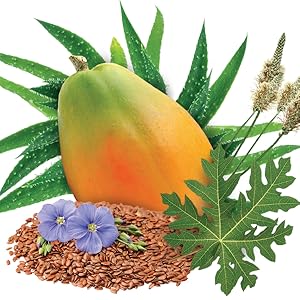 Small manufacture image 6