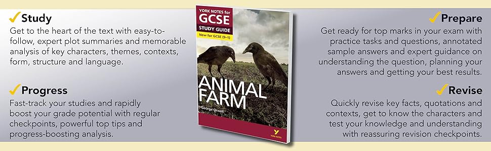 York notes essay wizard 08 picture