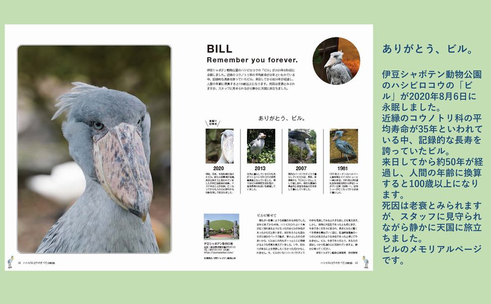 ハシビロコウのすべて 改訂版(廣済堂ベストムック) (廣済堂