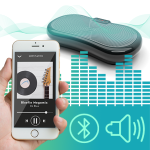 Audio Bluetooth MP3