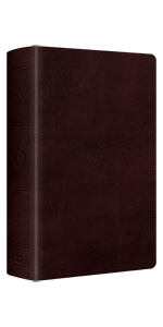 ESV Large Print Personal Size Bible, TruTone Mahogany
