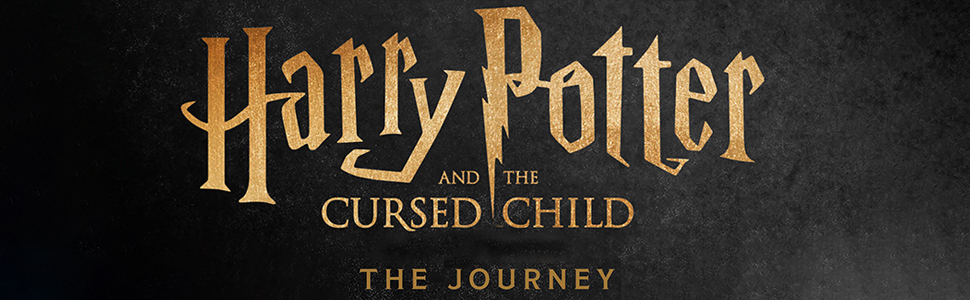 Harry Potter, illustrated, Cursed Child, Hogwarts, Harry Potter 8, Hermoine Granger, Ron Weasley