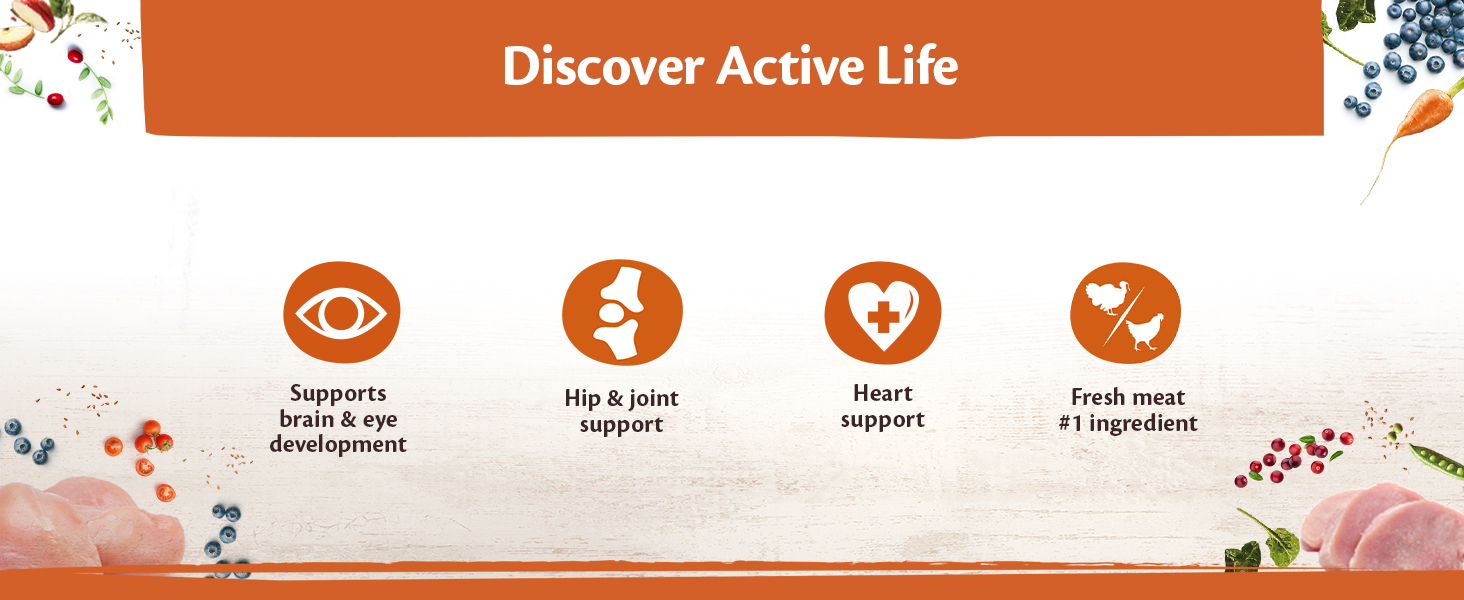 Our active life dog food dry is grain free with fresh meat as first ingredient