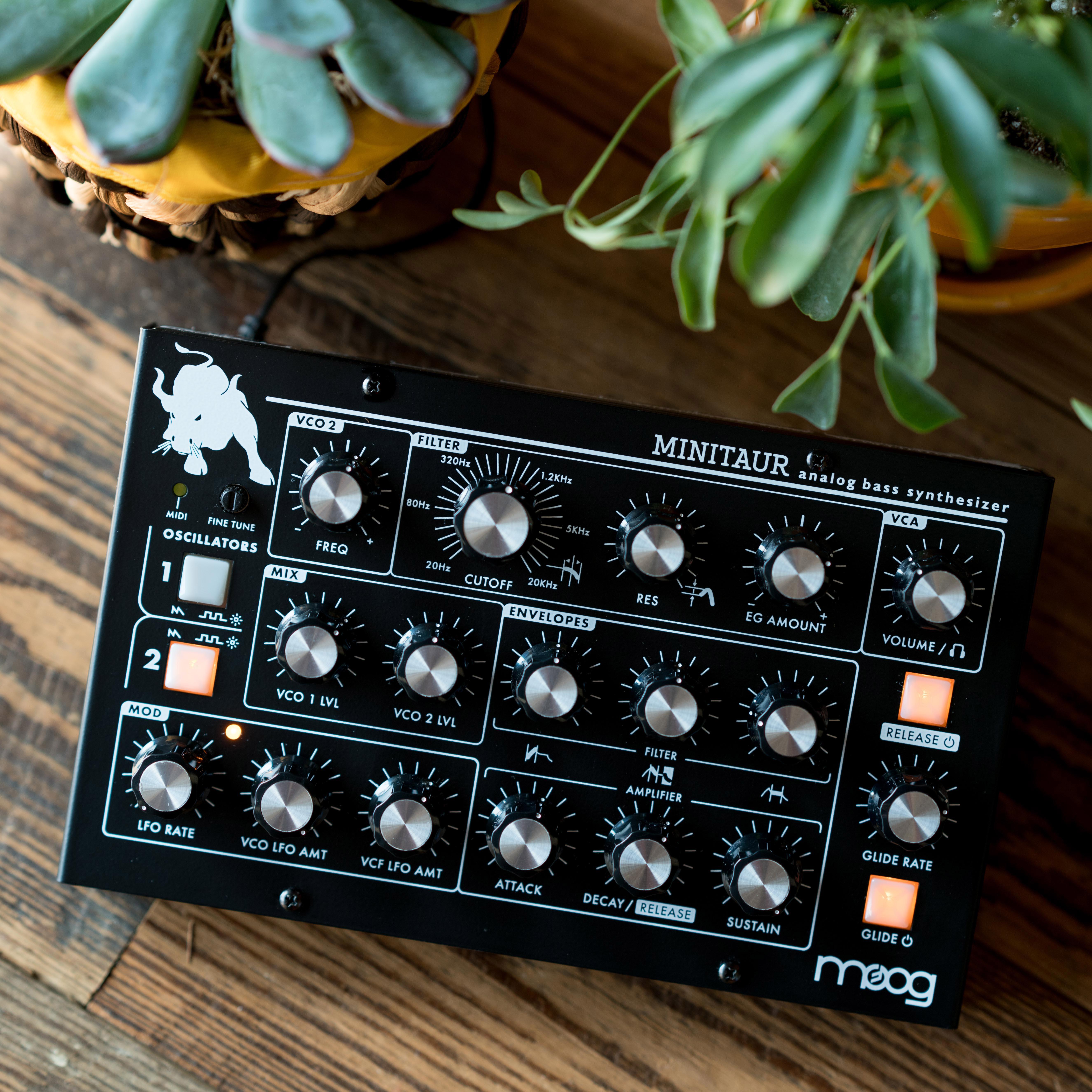 Moog Minitaur Bass Synthesizer Amazon.ca Musical Instruments, Stage