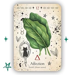 Fire Herbs – Sorrell