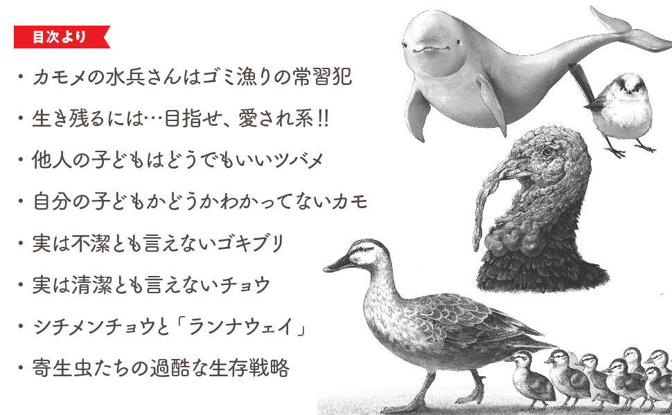 Amazon Co Jp カラスはずる賢い ハトは頭が悪い サメは狂暴 イルカは温厚って本当か Ebook 松原 始 本 Amazon Co Jp カラスはずる賢い ハトは頭が悪い サメは狂暴 イルカは温厚って本当か Ebook 松原 始 本