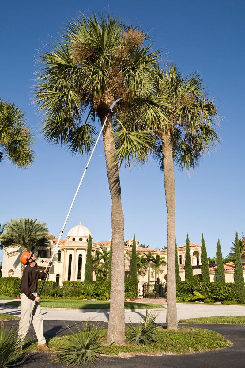 Silky New Professional Series 17839 Telescopic Landscaping