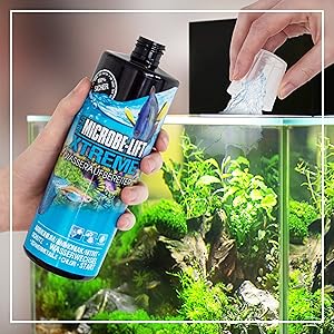 Dosage of Xtreme into the aquarium.