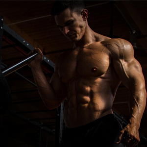 Provides Critical Amino Acids For The Body