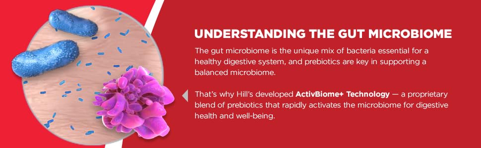 Hill's Science Diet Adult Perfect Digestion Cat Food - 3.5 lb 22 prebiotic digestive health