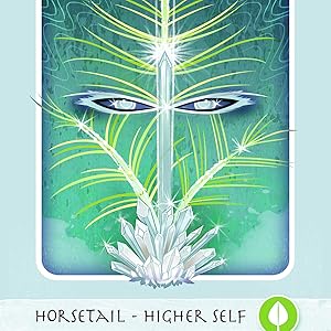 mind body spirit, red feather, healing, herbal-ism, divination, shamanism, tarot, oracle