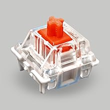 Gateron Switches