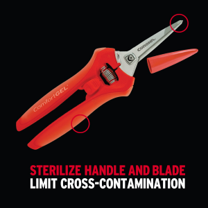 Small manufacture image 5