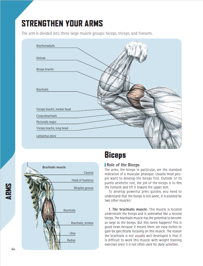 The Strength Training Anatomy Workout Frederic Delavier