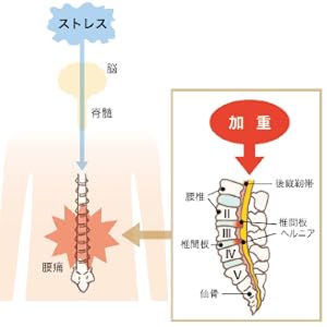 痛みをやわらげる科学 新装版 痛みの原因と予防法、そして最新