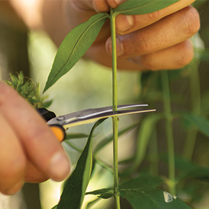 Small manufacture image 1