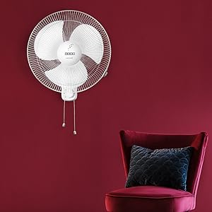 Fan