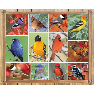 Springbokパズル – Songbirds – 1000ピース Amazon.com: Springbok's 1000 Piece Jigsaw Puzzle Songbirds