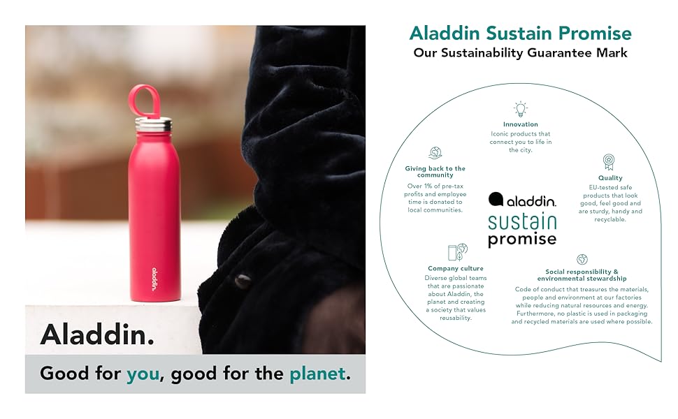 Aladdin Chilled Thermavac Stainless Steel Water Bottle 0.55L Aqua Blue