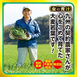 Amazon | 日本薬健 25種の純国産野菜 乳酸菌×酵素 30包 | NIHON