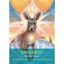 kangaroo