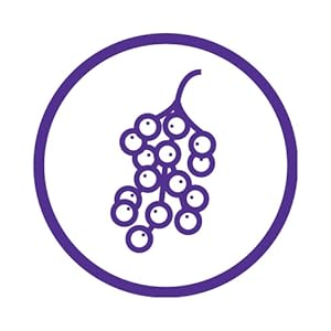 Adult Elderberry Immune Support Gummies 