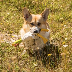 Small manufacture image 5