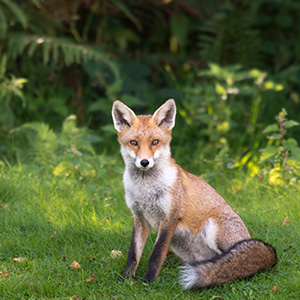 Small manufacture image 3