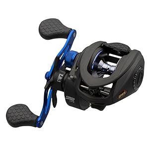 lew's inshore reel