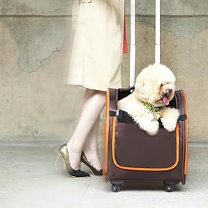 Amazon.co.jp: リッチェル イビヤヤ パラレルキャリー パープル