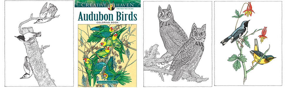 Amazon Com Creative Haven Audubon Birds Coloring Book Creative