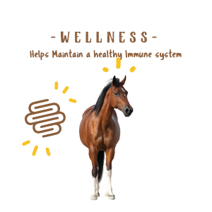 horse supplement manna pro horses supplements omega 3's immune system equine simply flax flaxseed