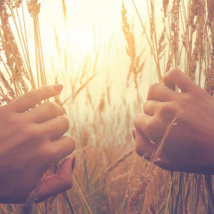 Laboratoires Mahen. Nos valeurs